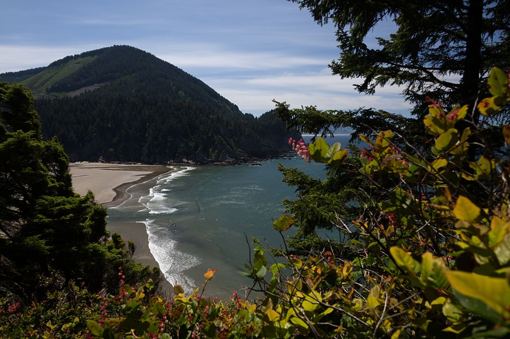 Smuglers cove at Oswald West State Park