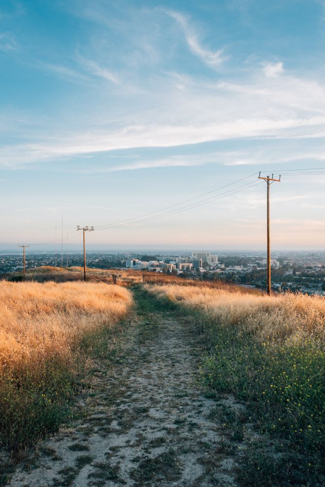 Trail at Ascot Hills Park