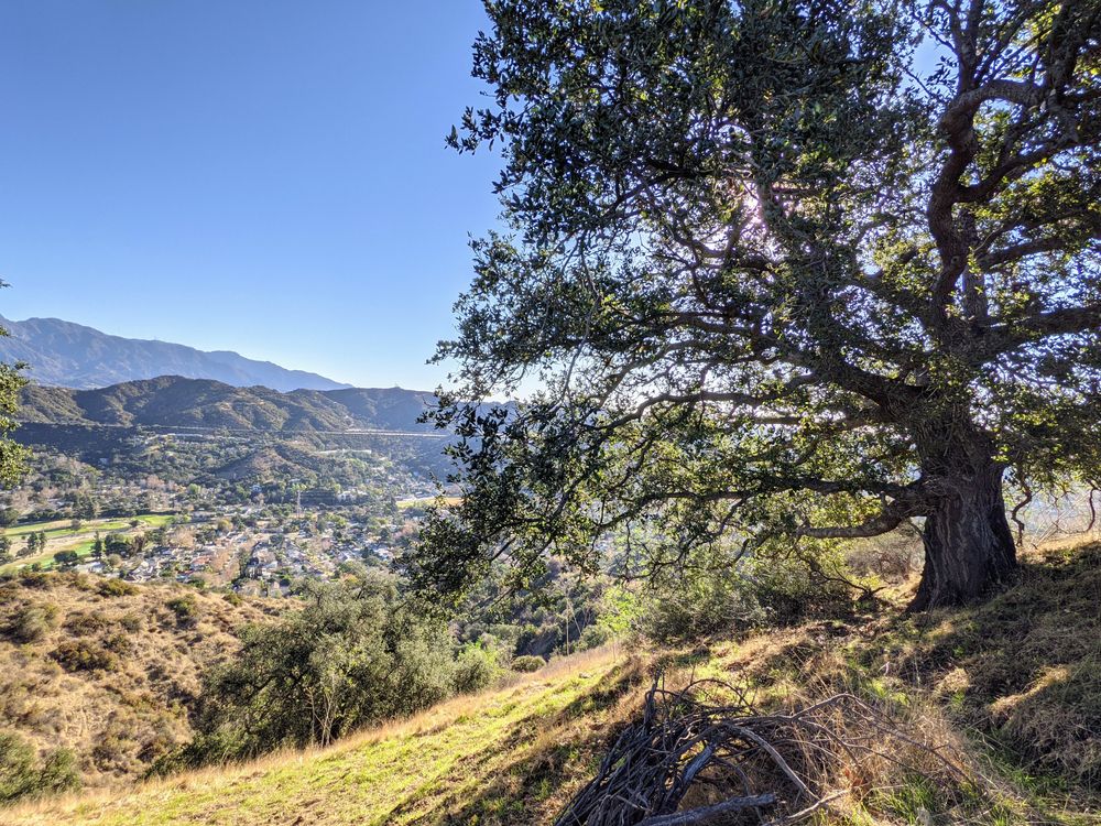 The view from Beaudry Loop