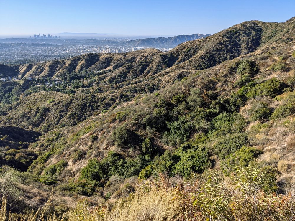 Scenic nature view at Beaudry Loop