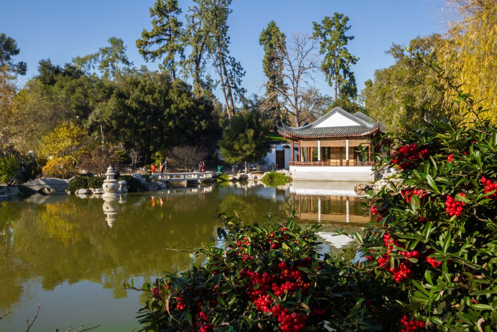 The waters of Huntington Library, Art Collections, and Botanical Gardens