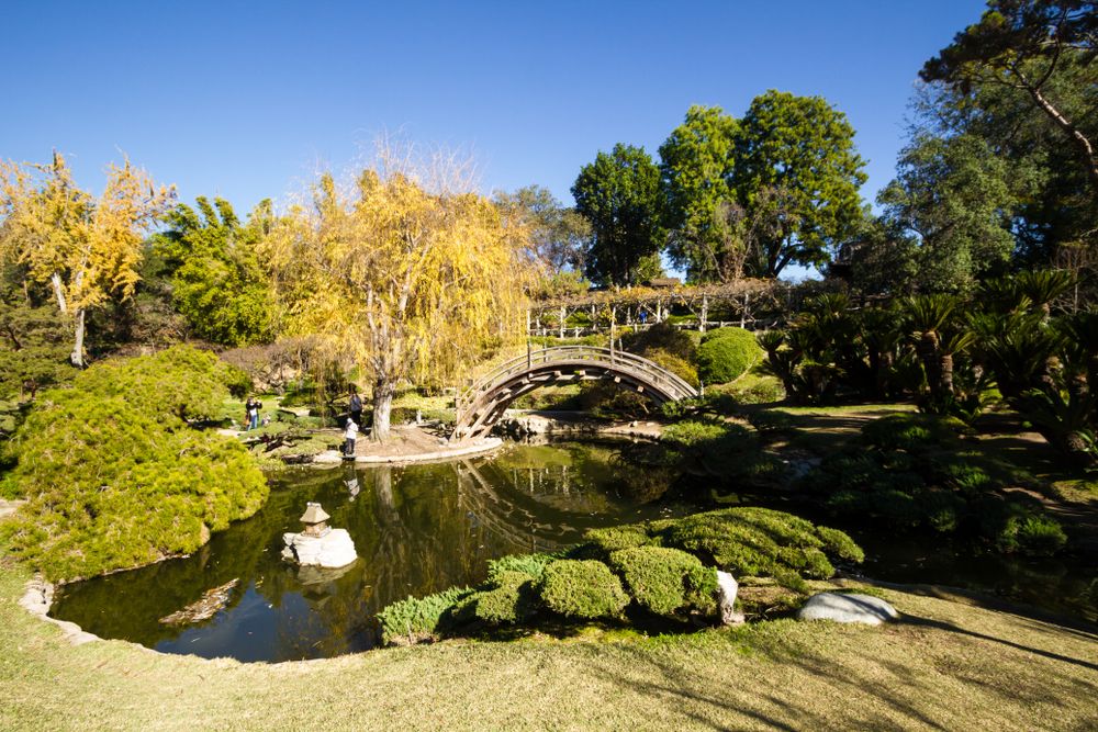 An arched bridge at Huntington Library, Art Collections, and Botanical Gardens
