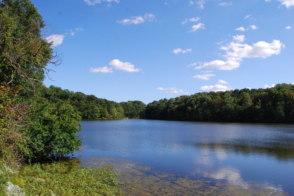 A lake at Greenbelt Park