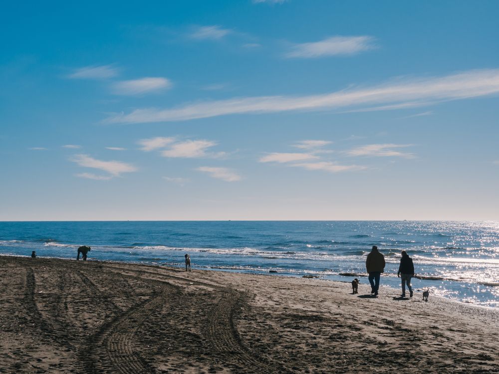 People walking along Cabopino Beach