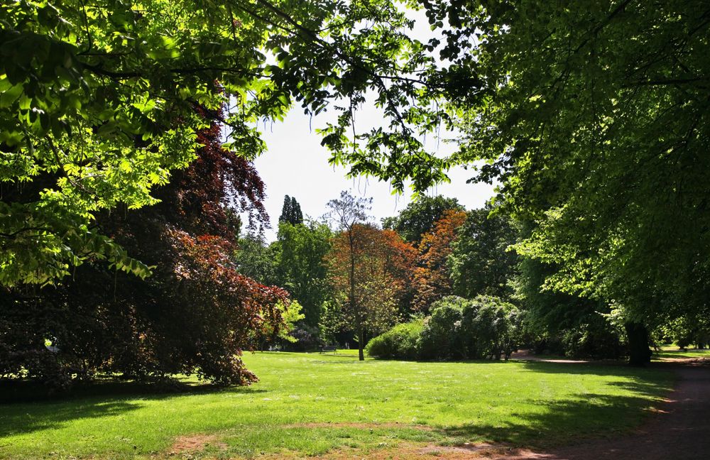Lush greenery of Kungsparken