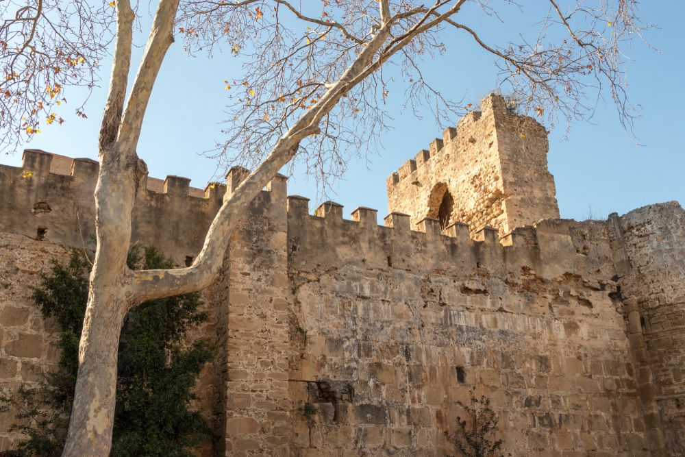 The walls of Murallas del Castillo