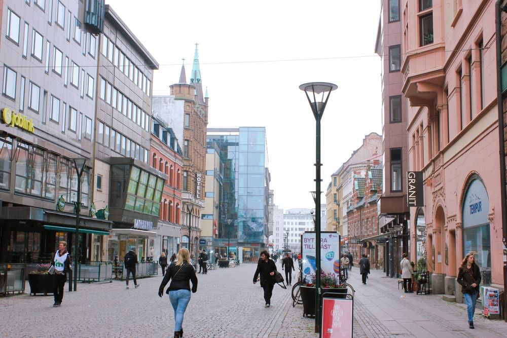 Buildings and shops along Södergatan Street