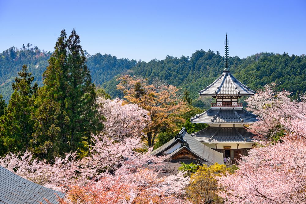 Beautiful Mt. Yoshino