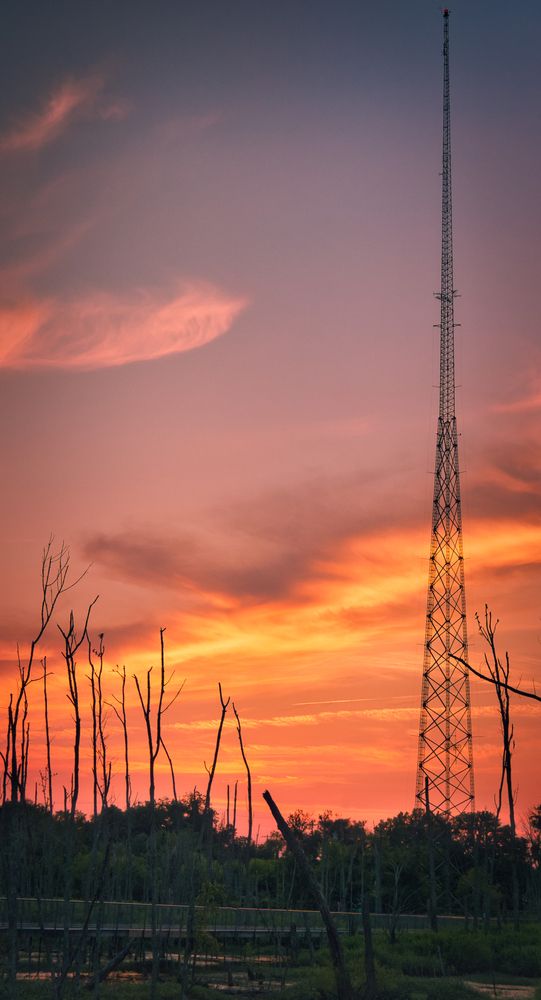 Sunset over Murfree Spring Wetlands
