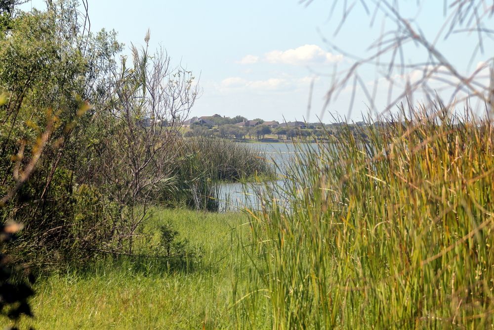 Nature view from Lake Corpus Christi State Park