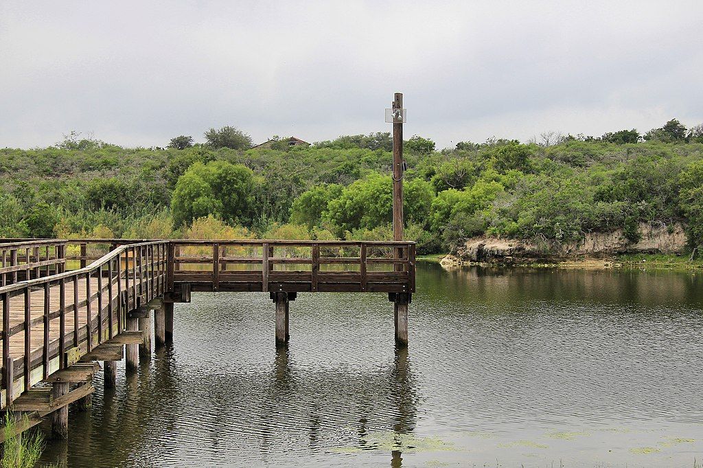 A wooden dock at Lake Corpus Christi State Park