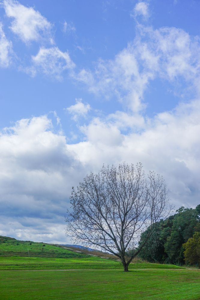 The grounds of Croton Point Park