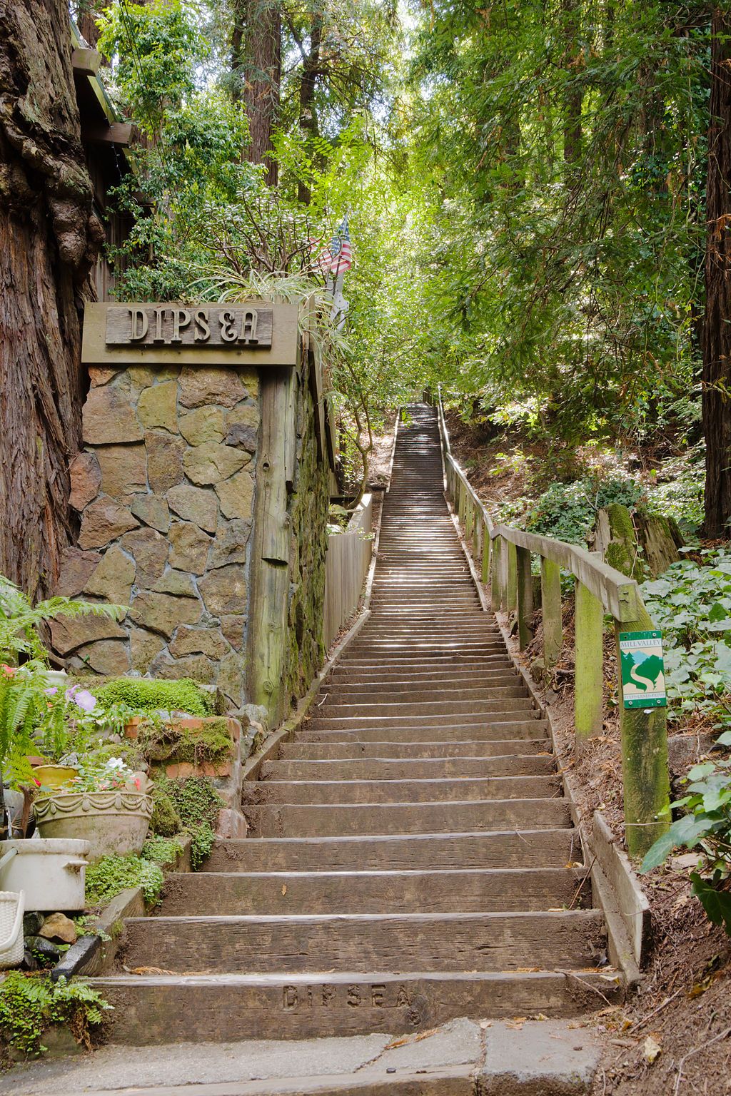 Stairs of Dipsea Trail