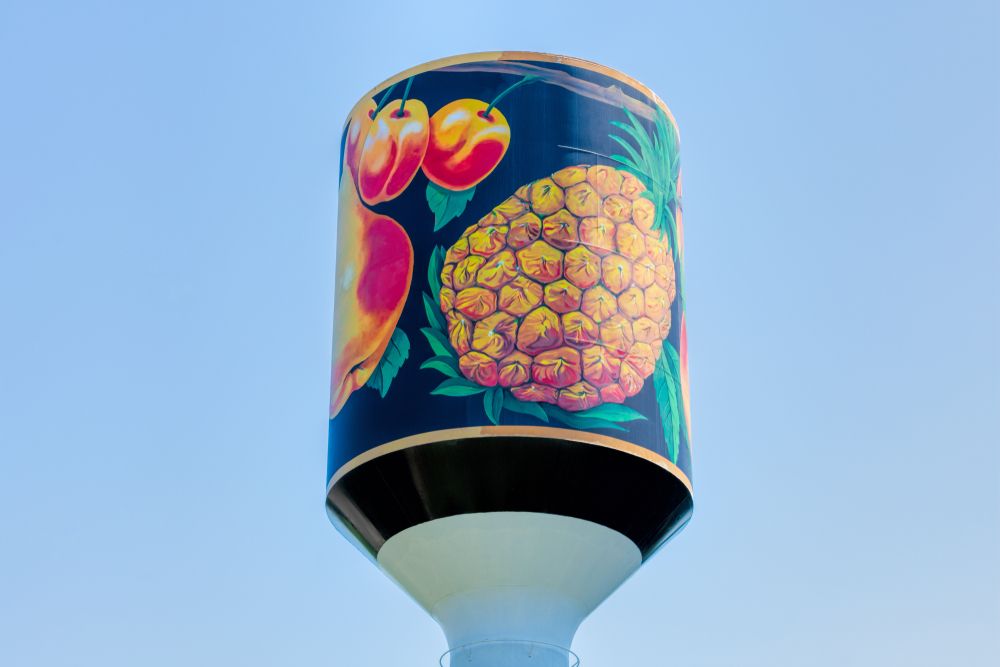 Top part of Libby's Water Tower