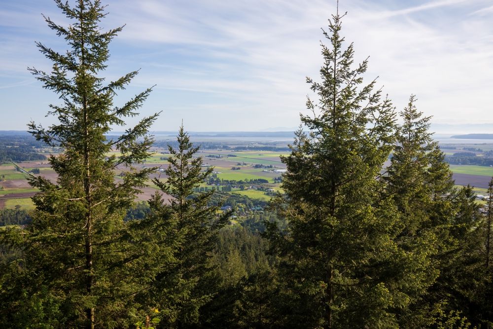 The view from Little Mountain Park