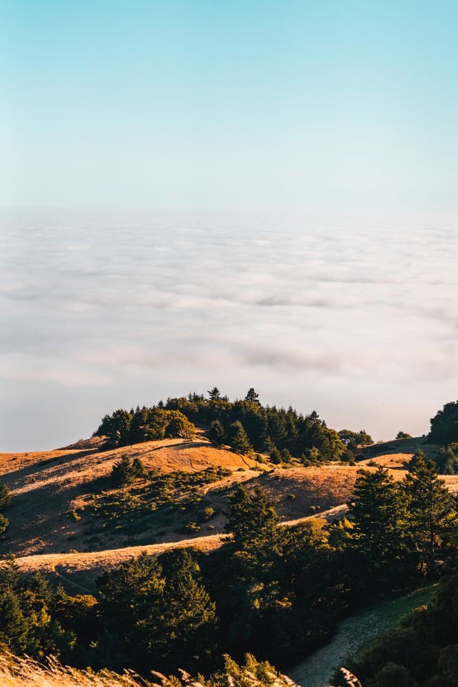 Scenic view of Mount Tamalpais State Park