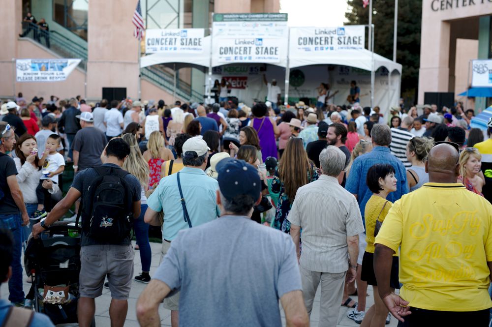 People at the Mountain View Art & Wine Festival