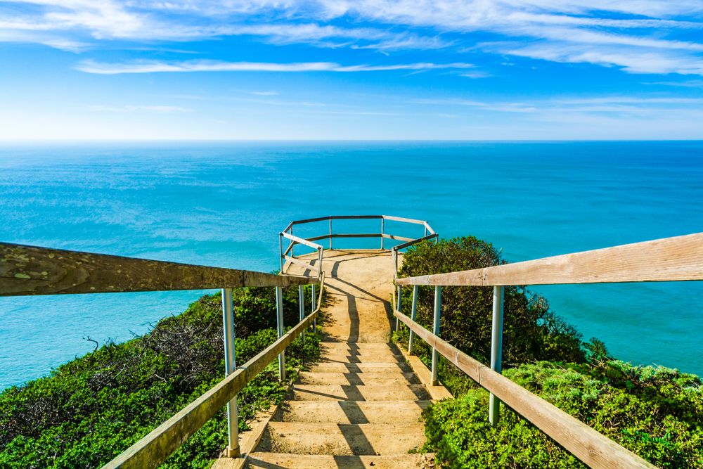 Trail of Muir Beach Overlook