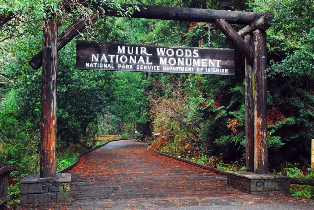 Entrance arch of Muir Woods National Monument