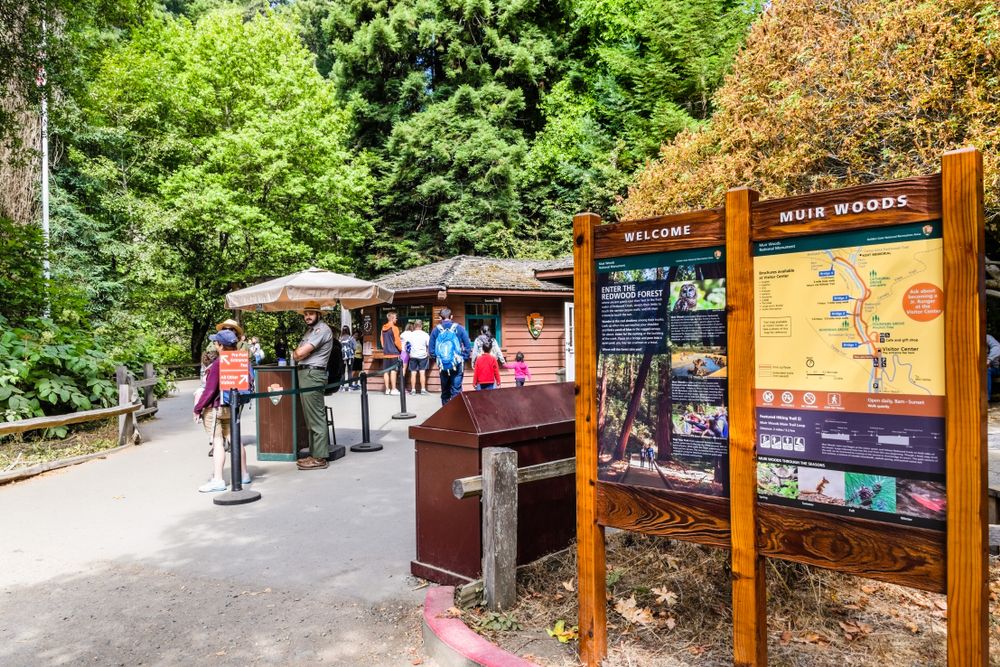 People at Muir Woods National Monument