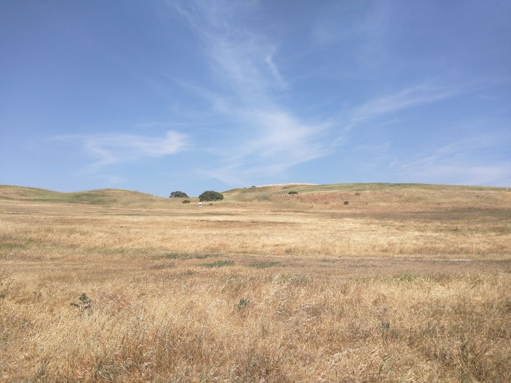 The view from Permanente Creek Trail