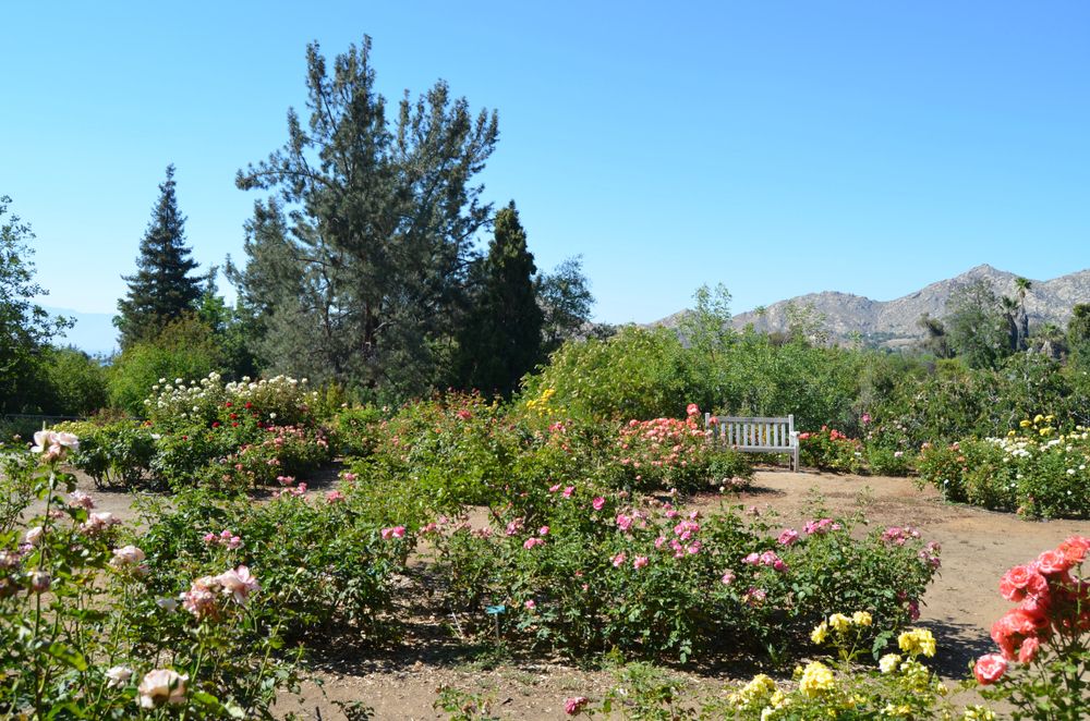 Daytime view of UC Riverside Botanical Gardens