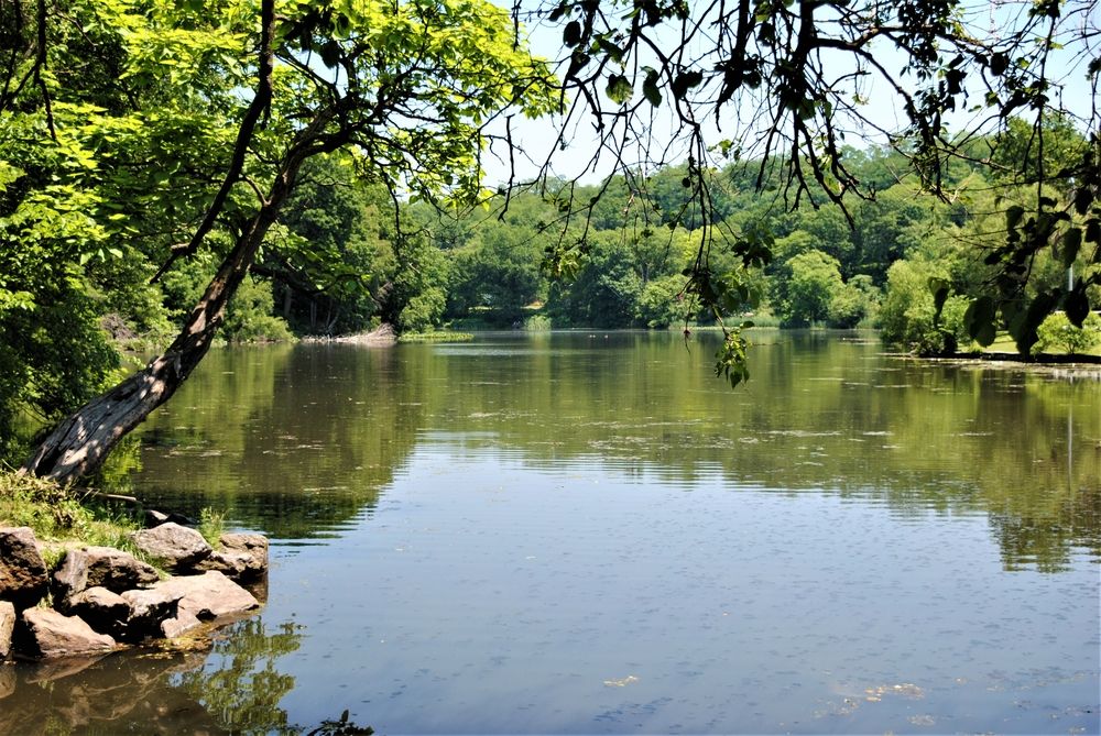 The waters of Van Cortlandt Park