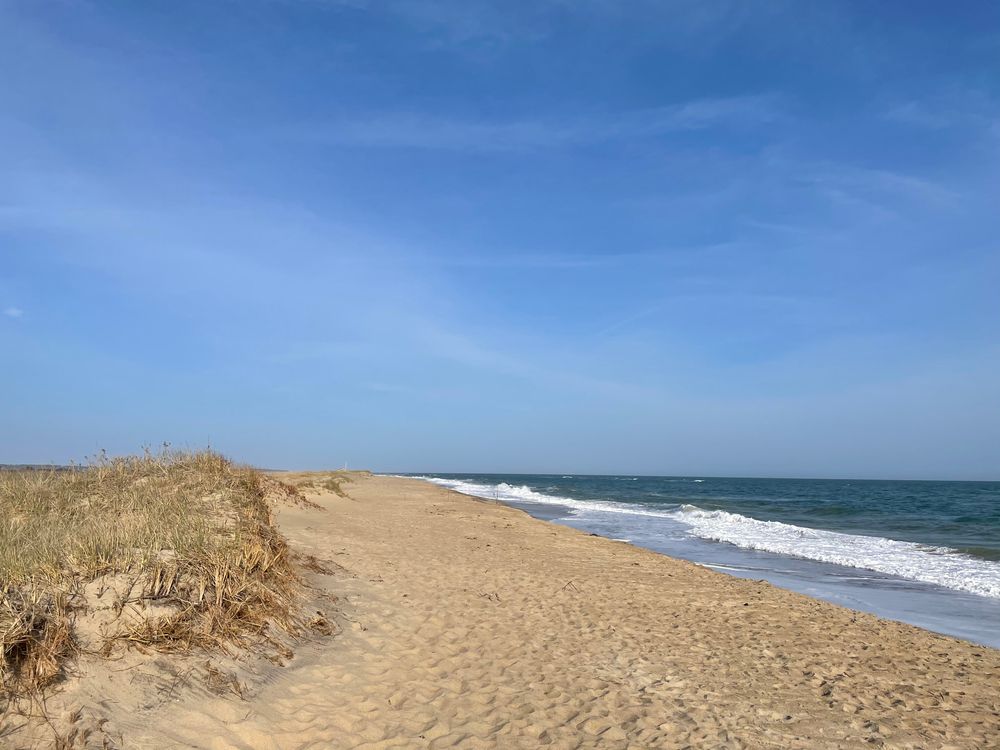 The waters and sand of Katama Beach
