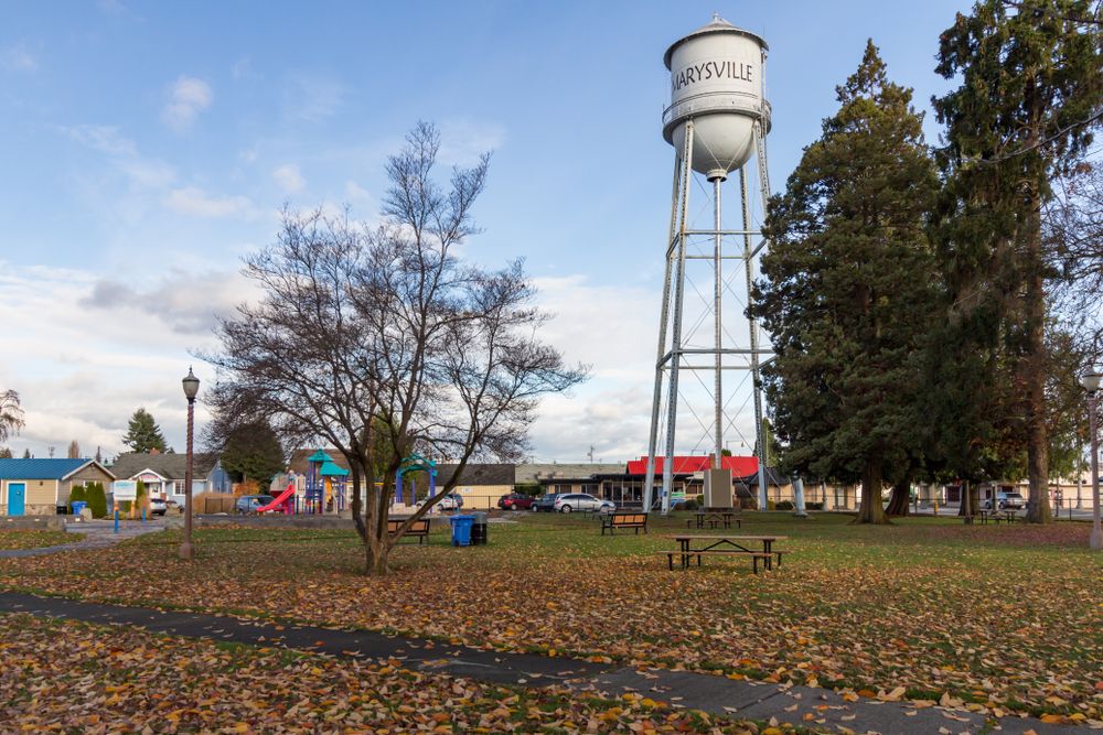The grounds of Comeford Park