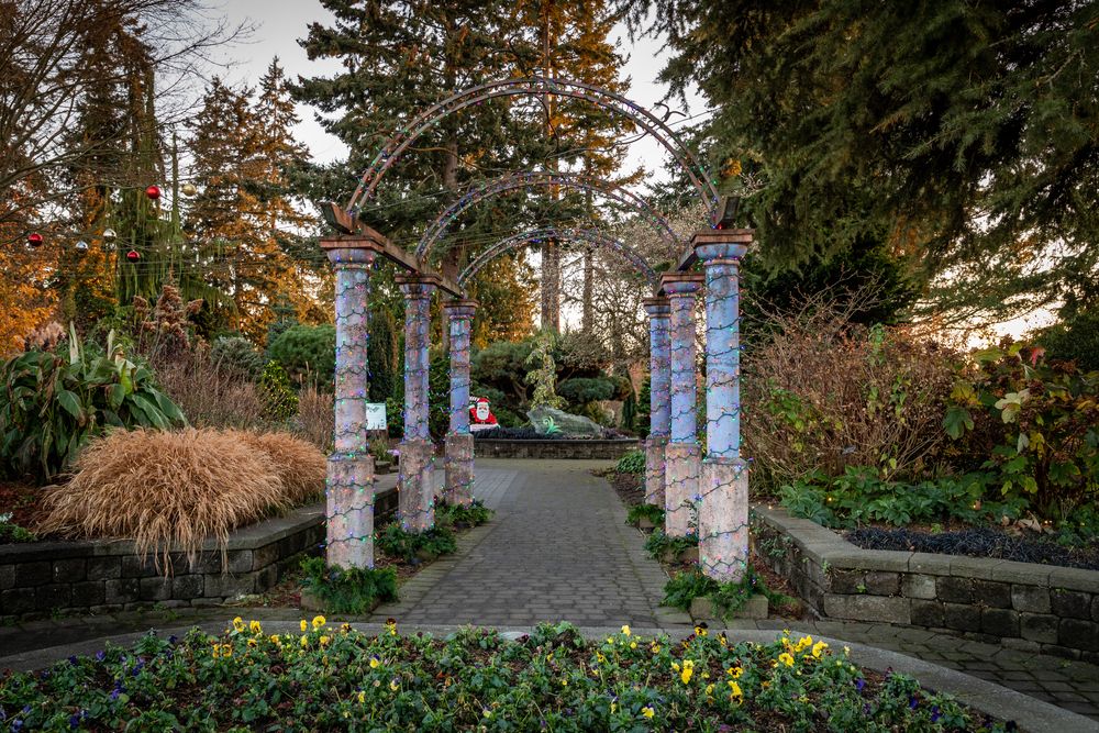 Flora at Evergreen Arboretum and Gardens