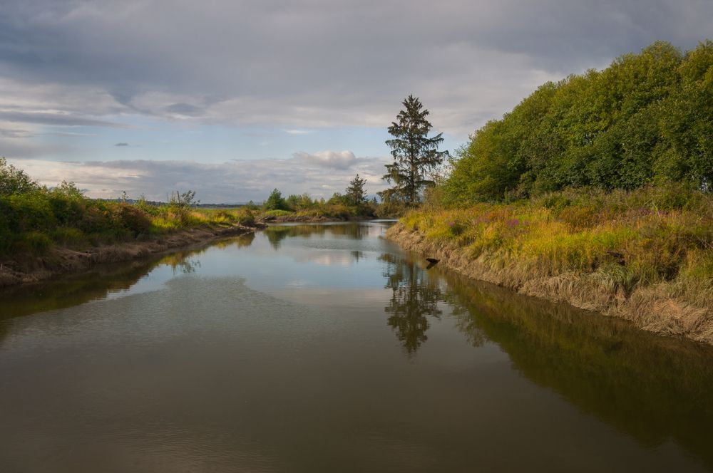 Waters at Spencer Island