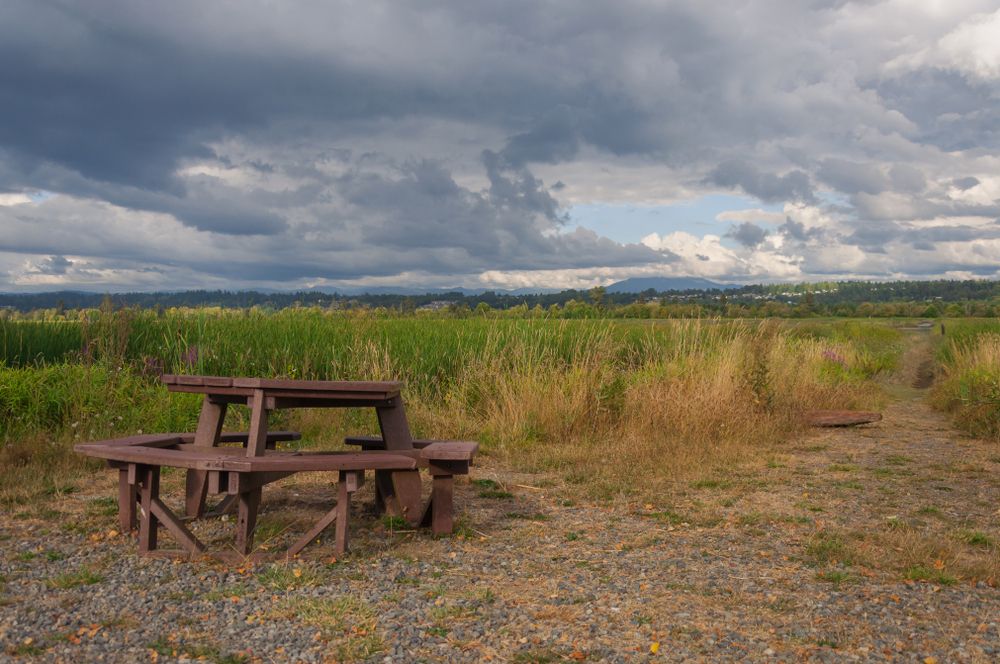 Picnic table on the grounds of Spencer Island