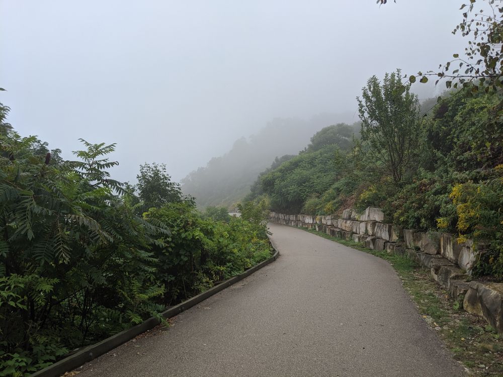 Thick fog along Atwater Park's trail