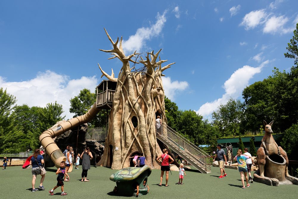 Playground at Henry Vilas Zoo