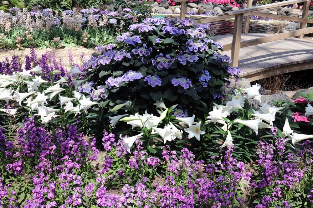 Gorgeous flora inside a Mitchell Park Dome