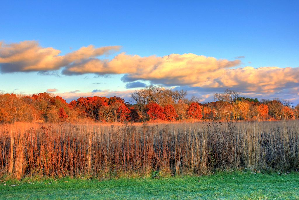 Scenic view of the University of Wisconsin in Madison Arboretum