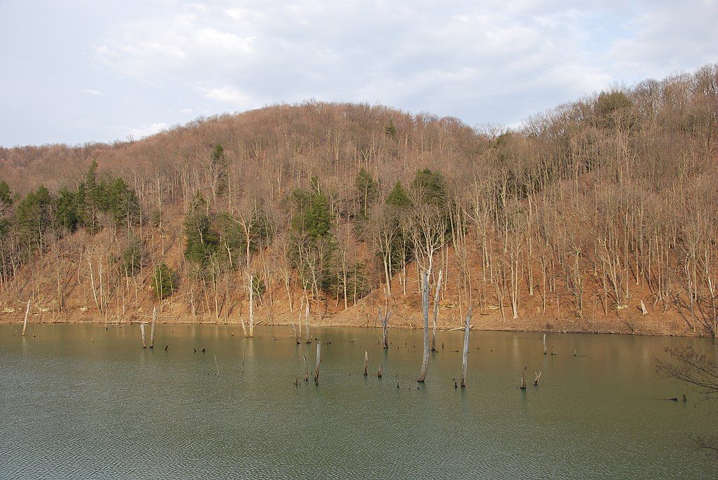 The waters of Dunkard Fork WMA