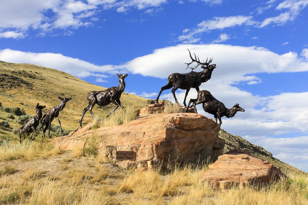 View of Statues at National Museum of Wildlife Art