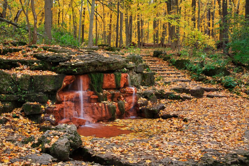 Nature at Glen Helen Nature Preserve