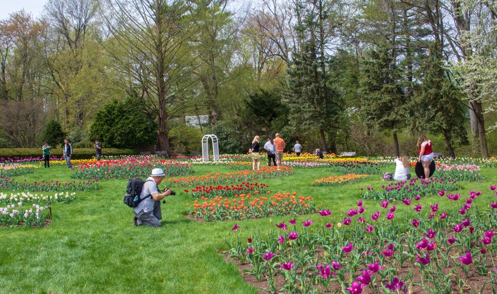People at Elizabeth Park