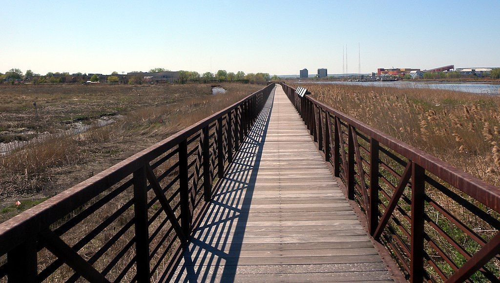 Boardwalk at Mill Creek Marsh