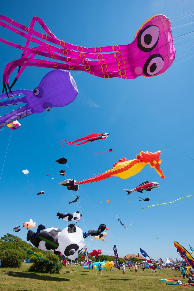 Kite festival at Brenton Point State Park