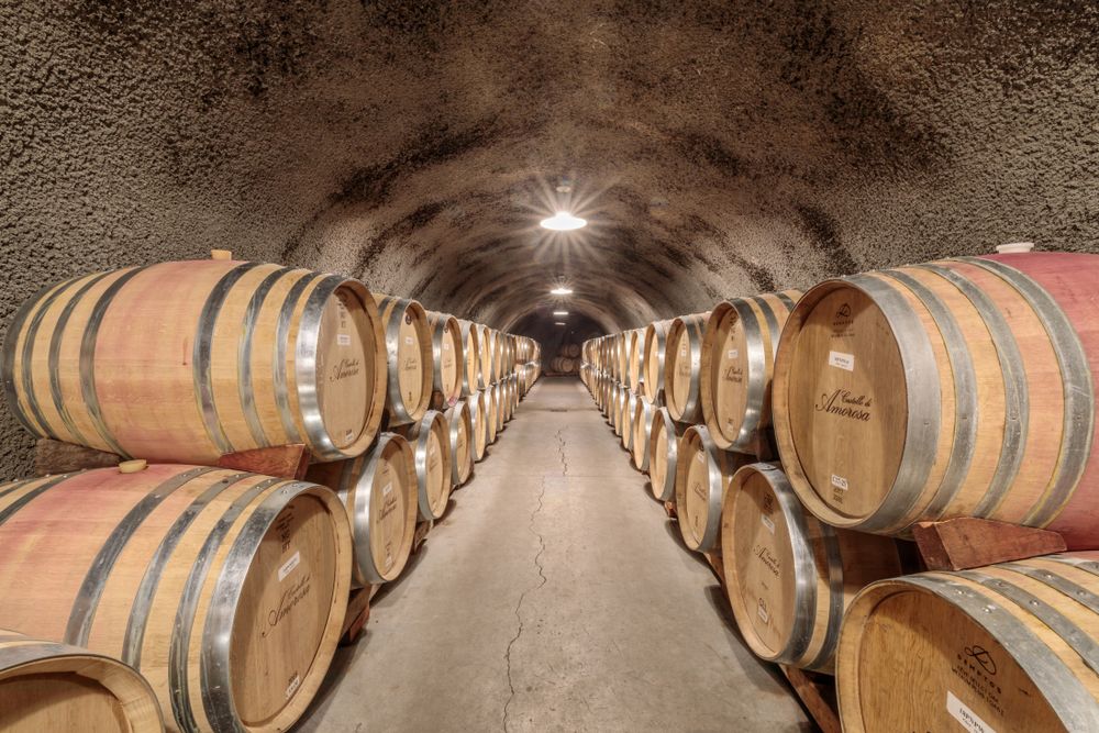 Wine barrels in Castello di Amorosa