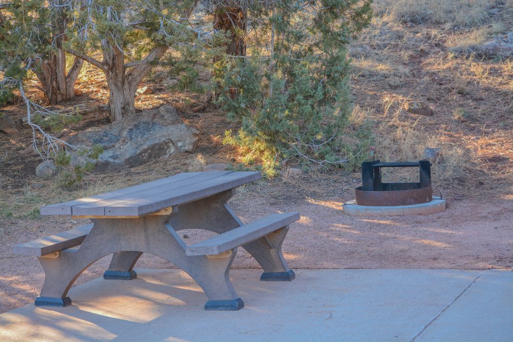 Picnic table at Fool Hollow Lake Recreation Area