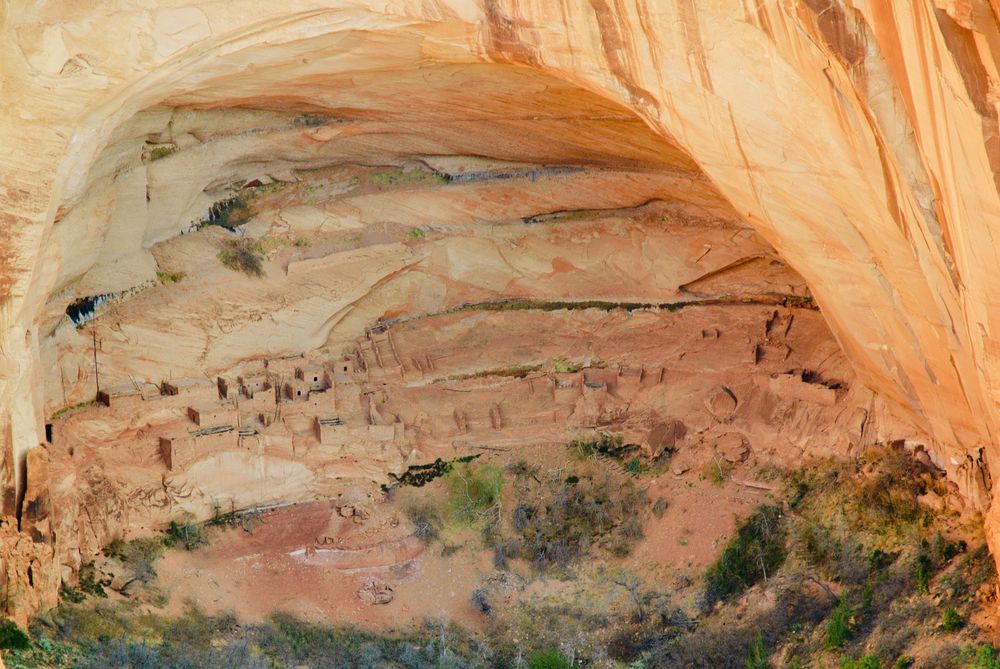 Cliff dwellings at Navajo National Monument