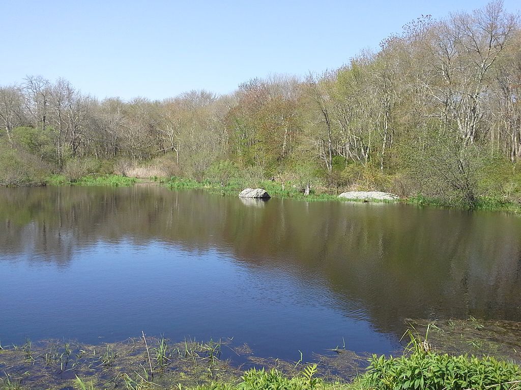 The waters of Norman Bird Sanctuary