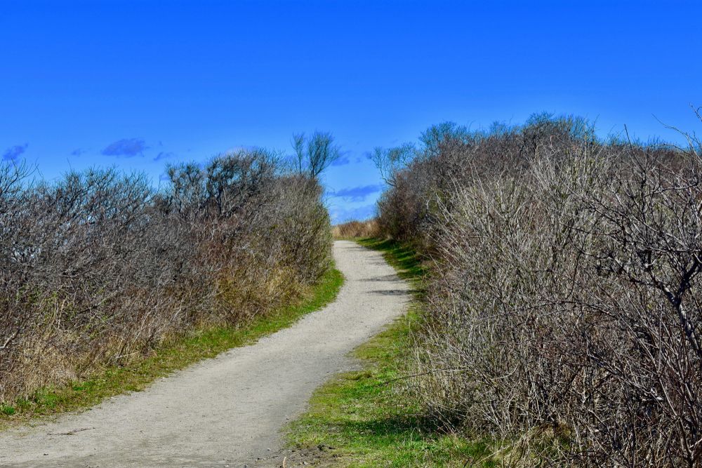 Trail at Sachuest Point National Wildlife Refuge
