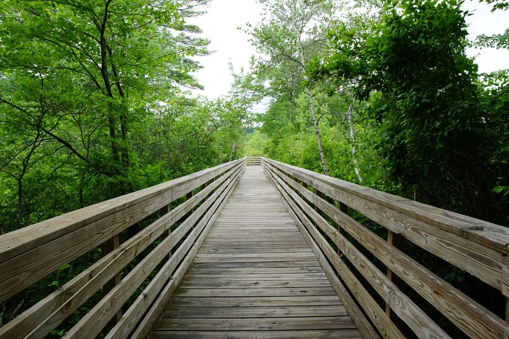 Boardwalk at Stony Brook Wildlife Sanctuary