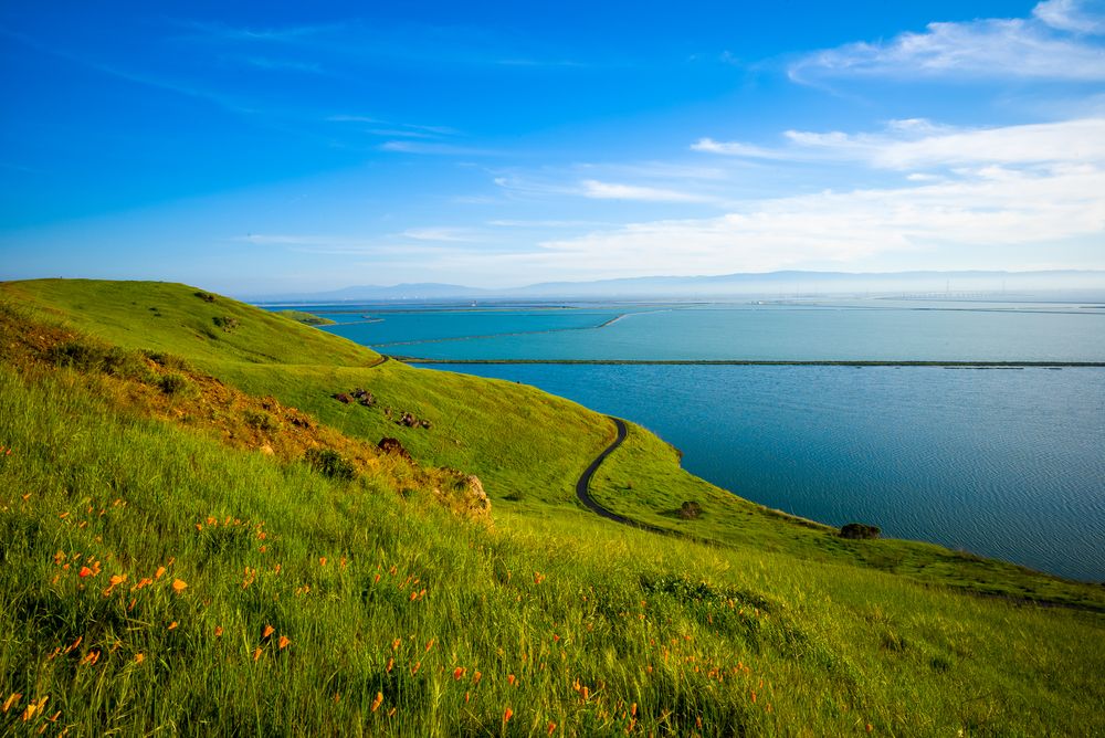 Scenic hillside trail at Coyote Hills Regional Park