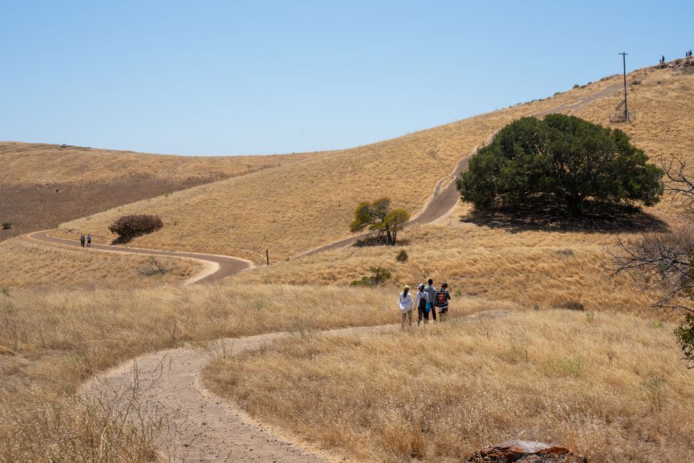 Hikers at Coyote Hills Regional Park